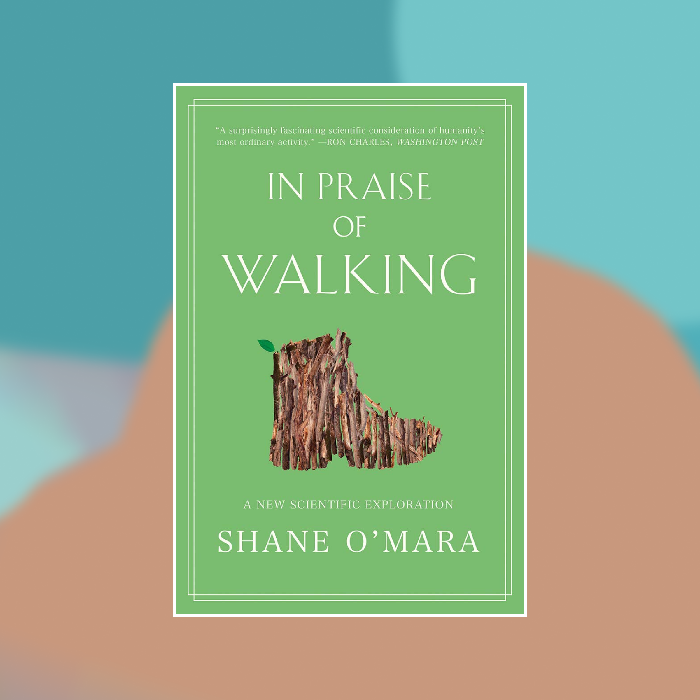 Book cover of In Praise of Walking against an abstract painted background
